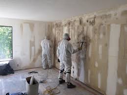 Reliable National City, CA Mold Inspection Solutions